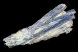 Vibrant Blue Kyanite Crystal Cluster - Brazil #95581-1